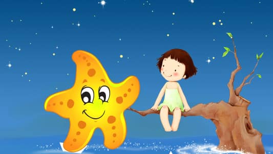 Las estrellas de mar